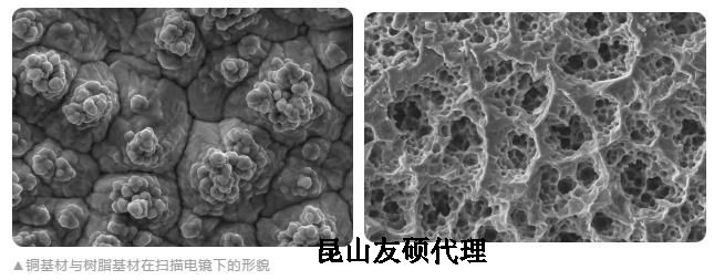 延安蔡司延安扫描电镜