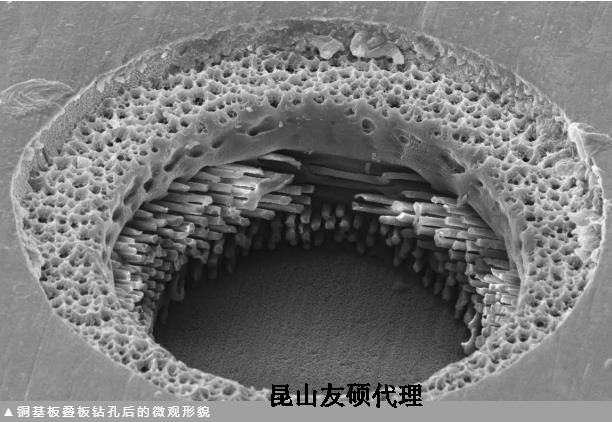 延安蔡司延安扫描电镜